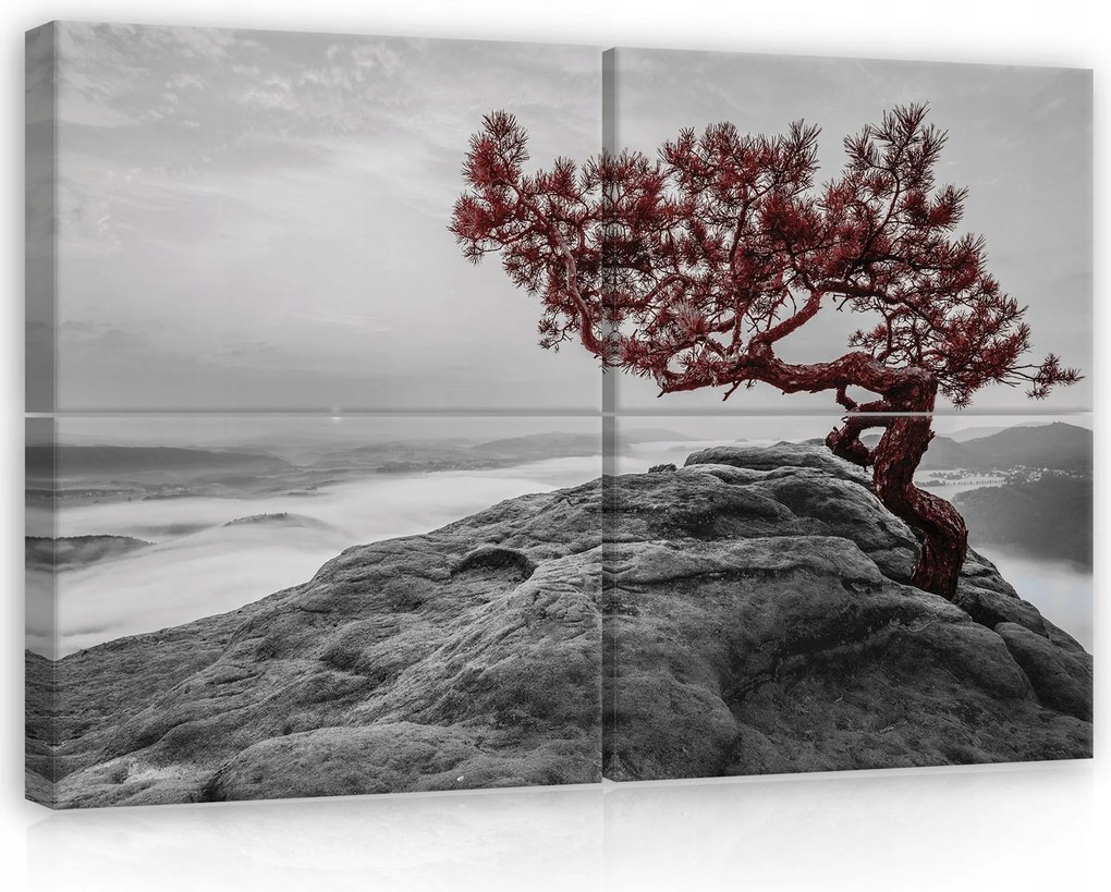 Vászonkép 120x80 szikla fa köd hegy erő magány természet kontraszt piros