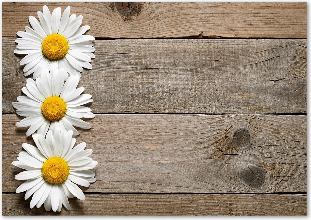 Üveg falpanel Margaréta fa Ragasztó Ingyenes