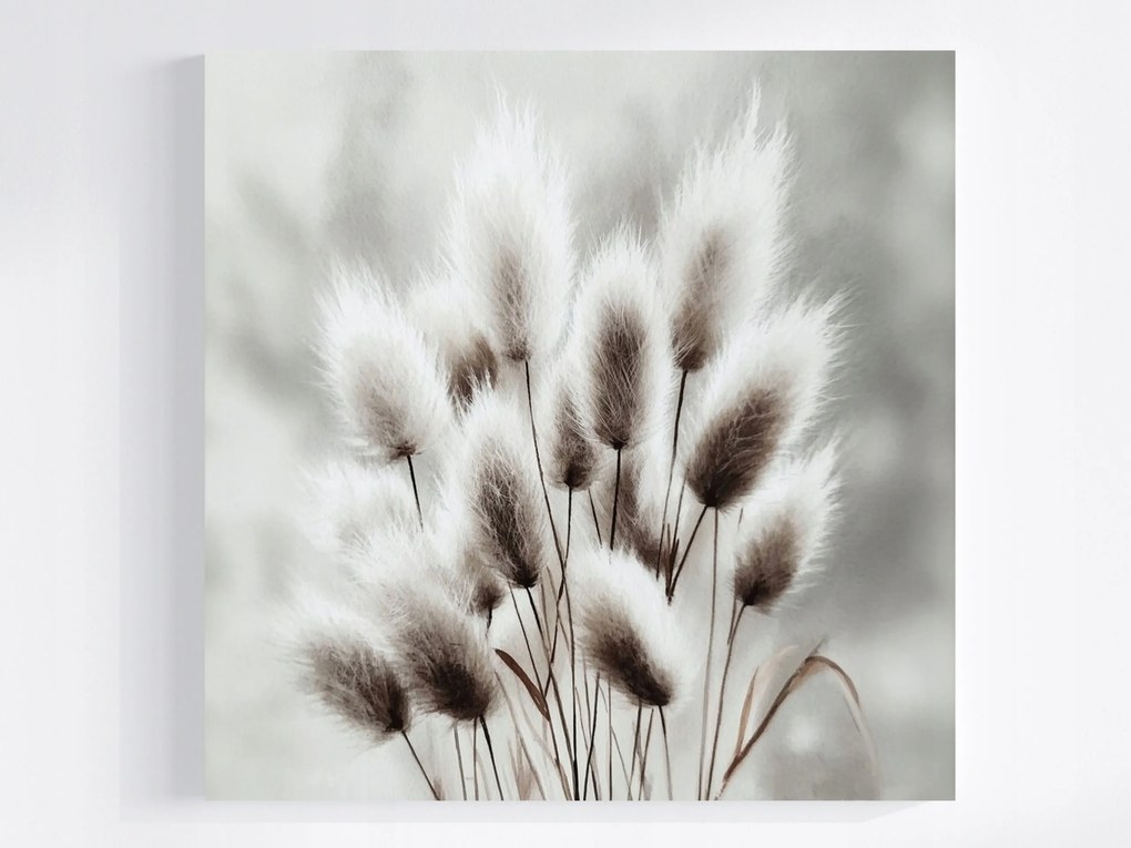 Vászonkép Canvas Akvarell Természet Növényzet Fű Szürke 80x80