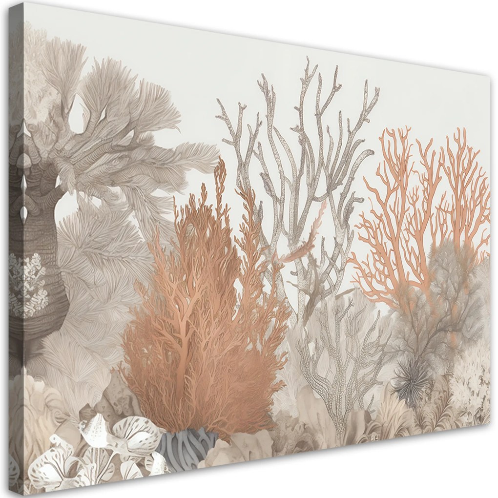 Gario Vászonkép Gyönyörű korallok a tengerben Méret: 100 x 70 cm