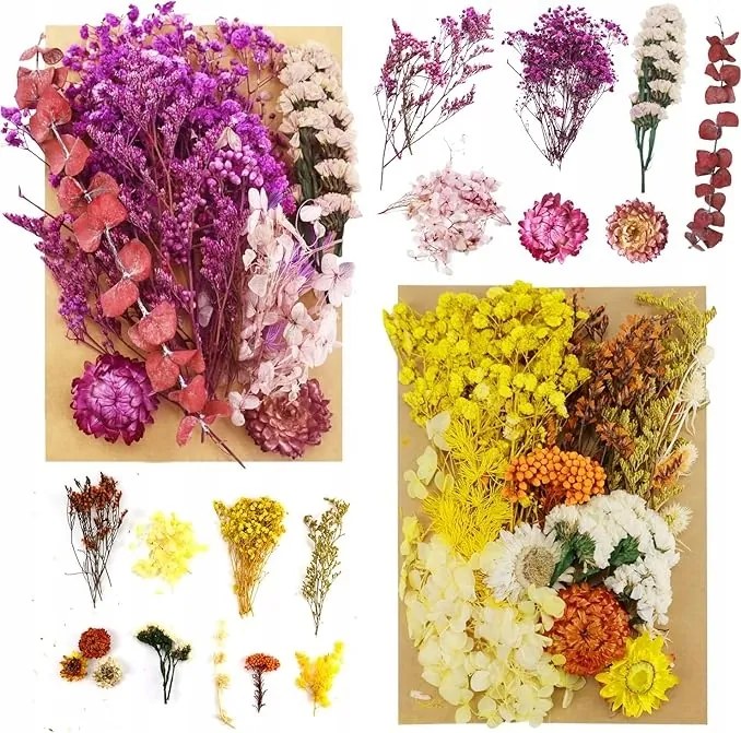 Természetes Szárított Préselt Virágok Keverék Szárított Gyanta Levelek Diy