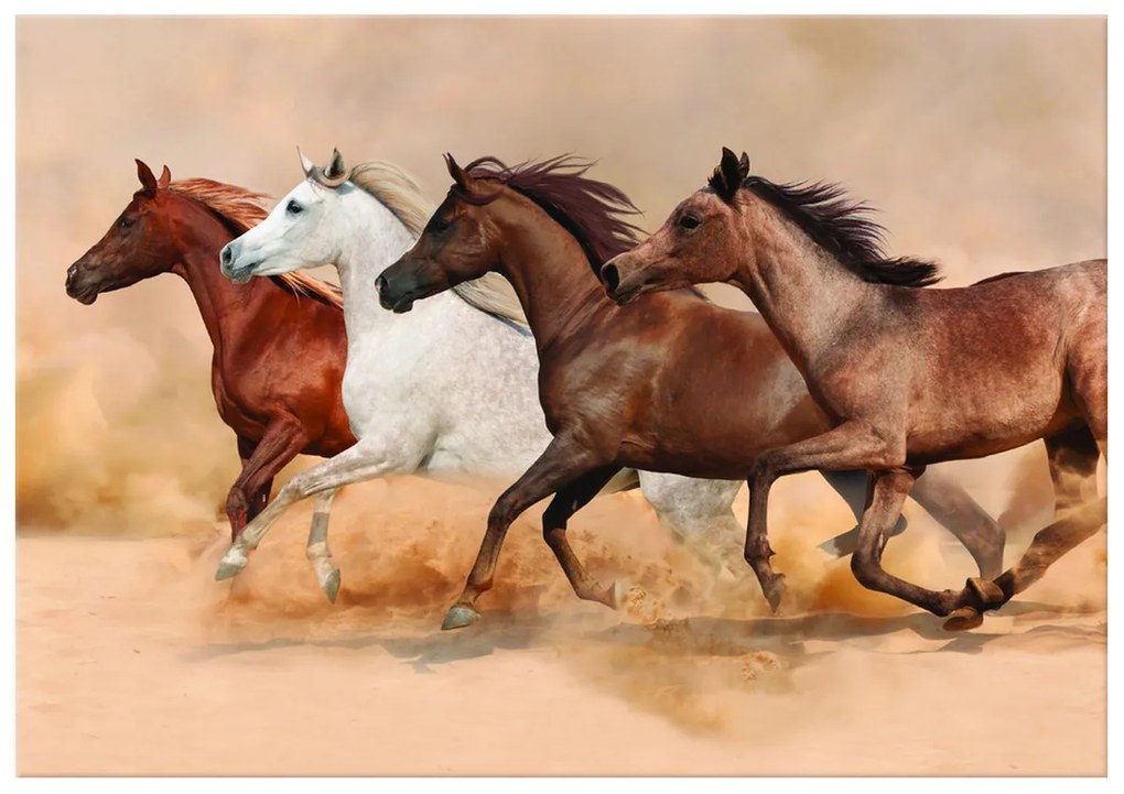 Gario Vászonkép Gyönyöru lovak állománya Méret: 100 x 70 cm