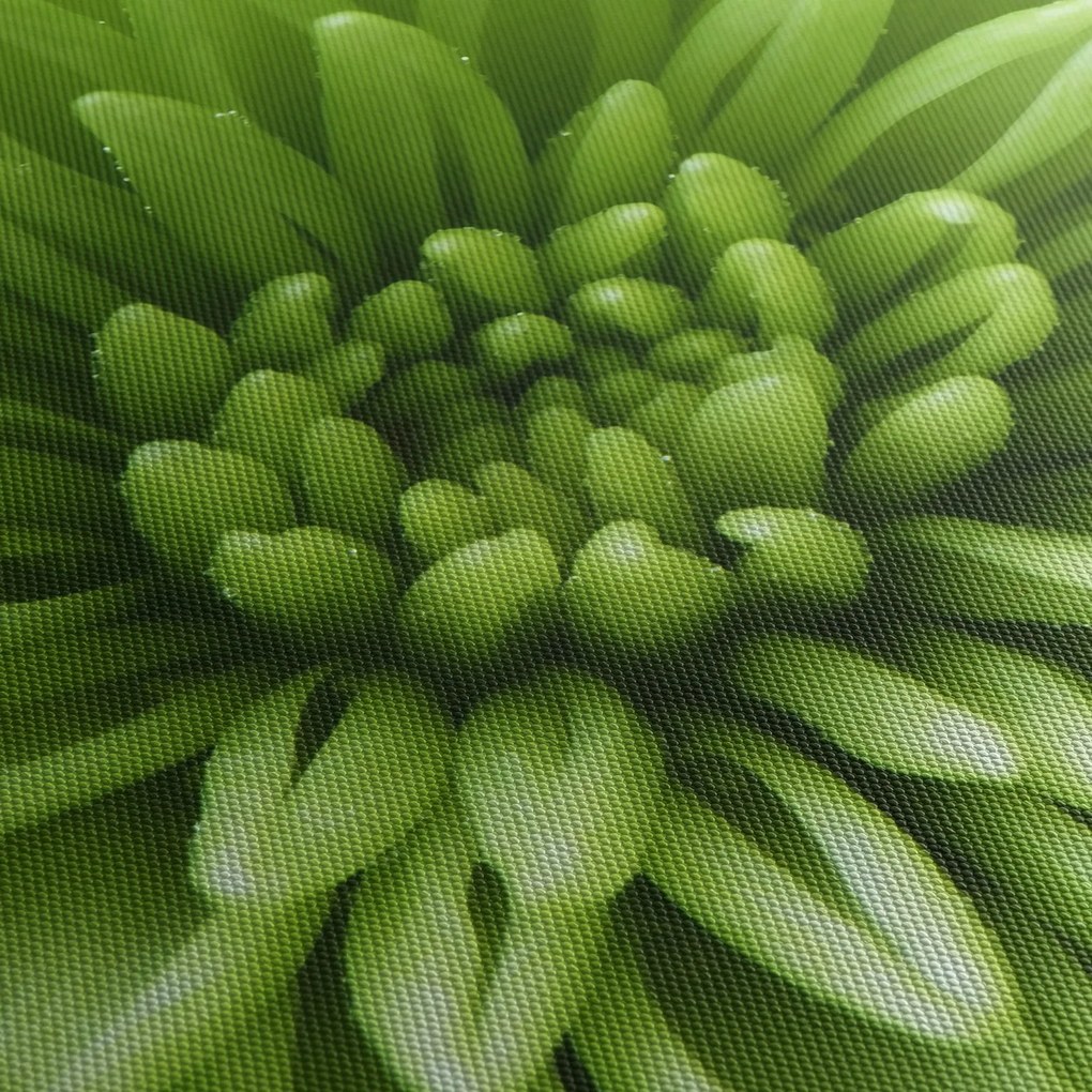 Kép - Makro kép egy növényről (150x105 cm)