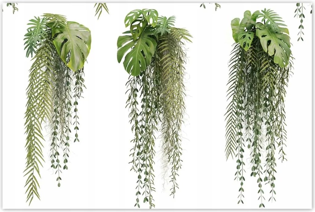 Poszterek 120x80 Monstera Lyukas levelek