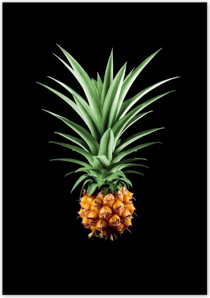 Poszterek 70x100 Ananász