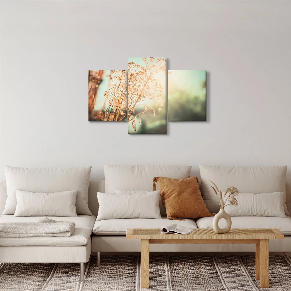 Kép - Növények eső után (90x60 cm)