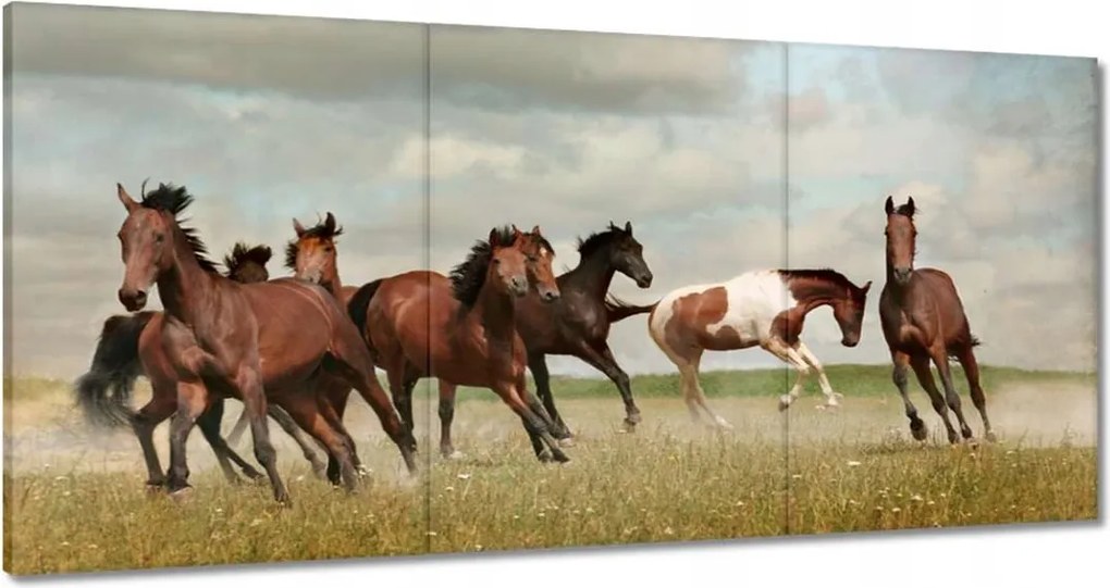 Vászonkép 60x30 Ló Lovak Lovaglás