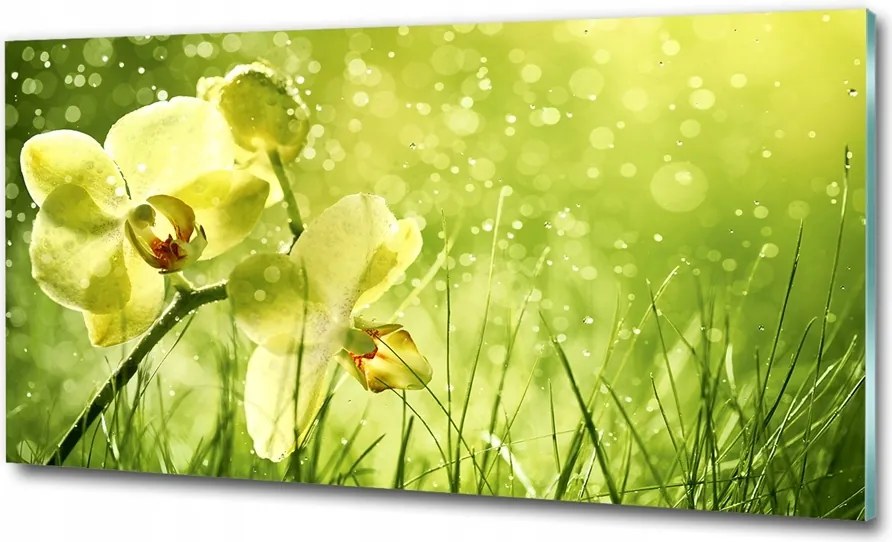 nagy plexi kép 100x50 orchidea nappaliba