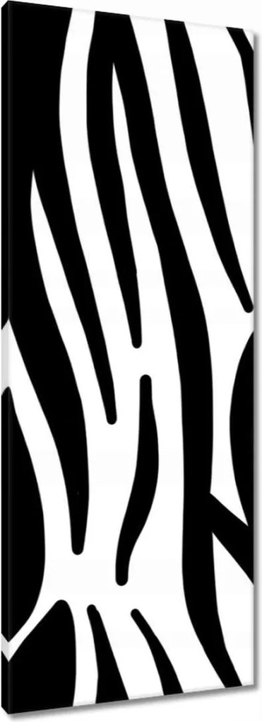 Vászonkép 40x100 Zebra csíkok
