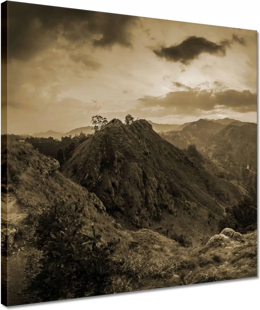 Vászonkép 40x40 Barna tájkép Tájkép