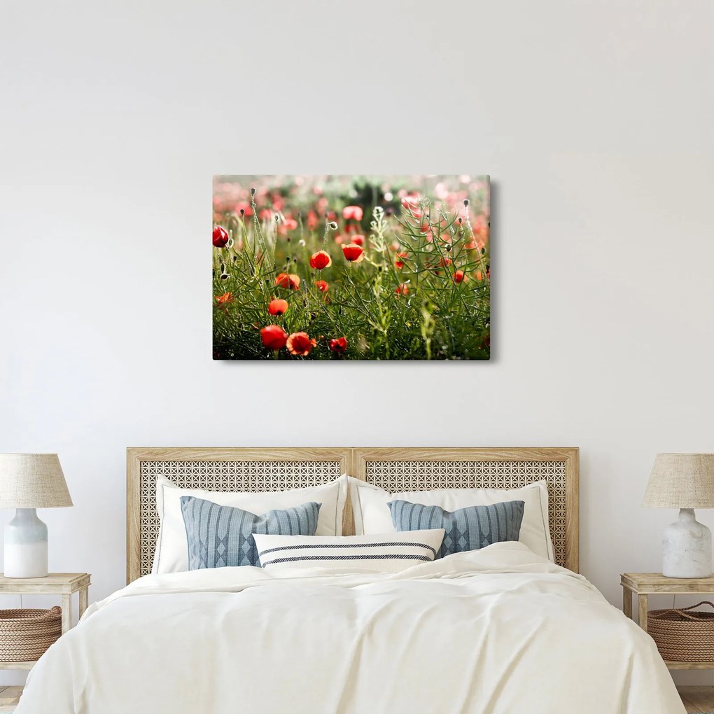 Pipacsok képe (90x60 cm)