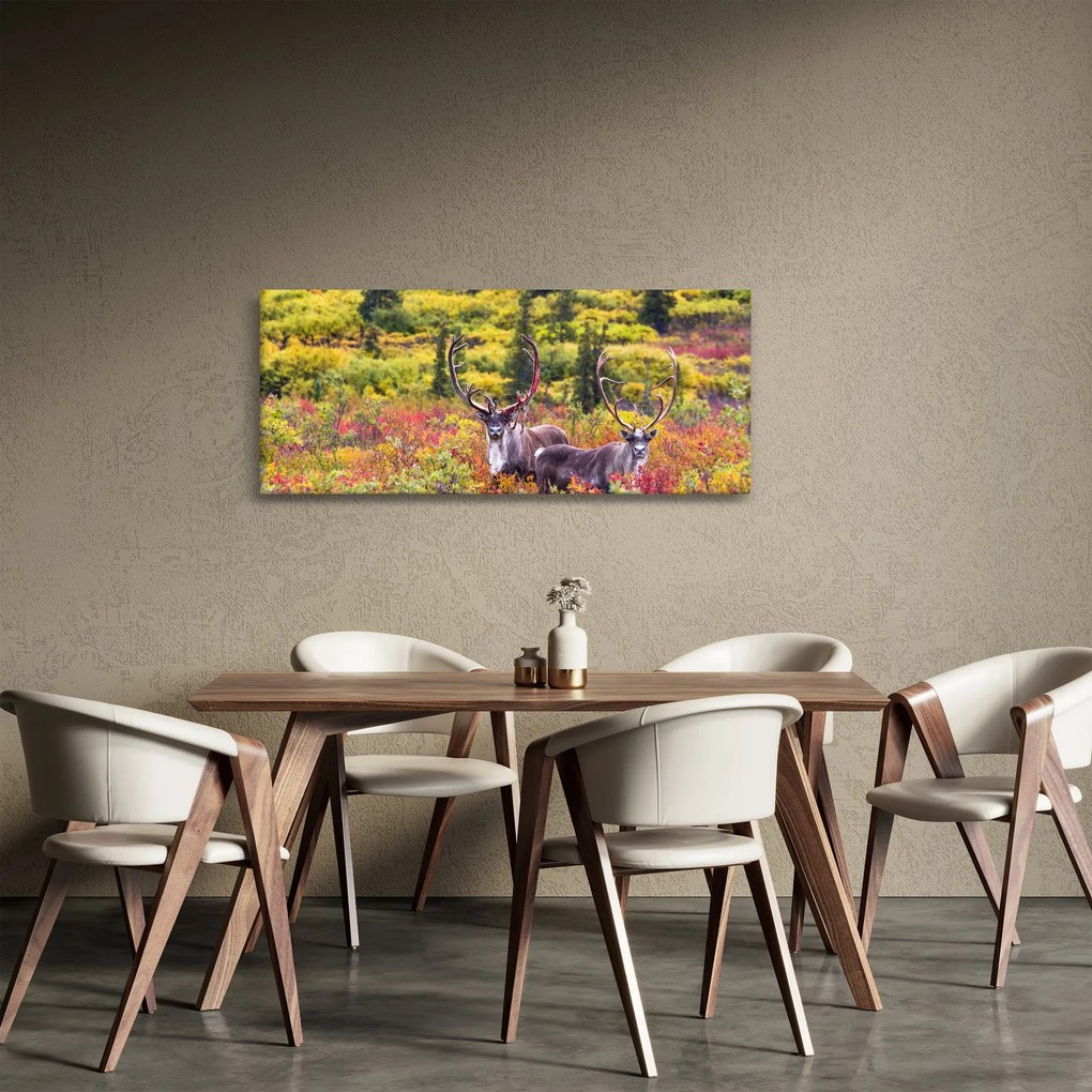 Kép - Caribou, Alaszka (120x50 cm)