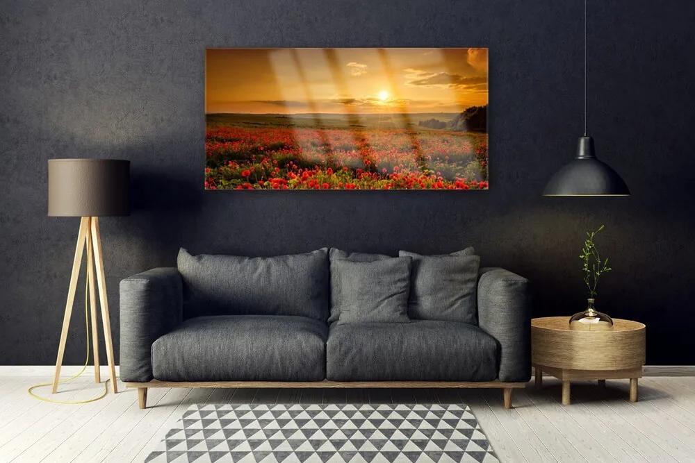 Akrilkép Szakterület Pipacsok Sunset Meadow 100x50 cm