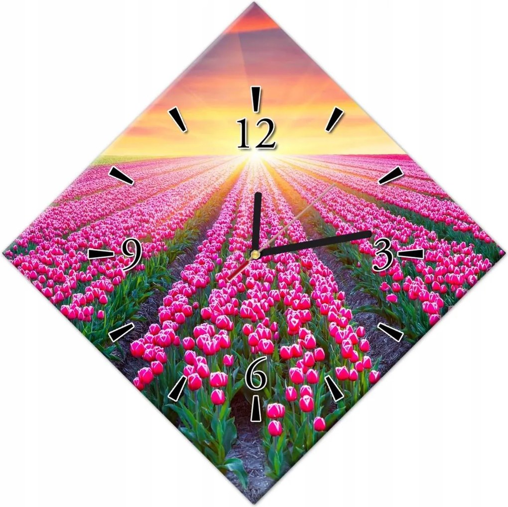 Órák 42x42 Tulipánok tengere Virágok