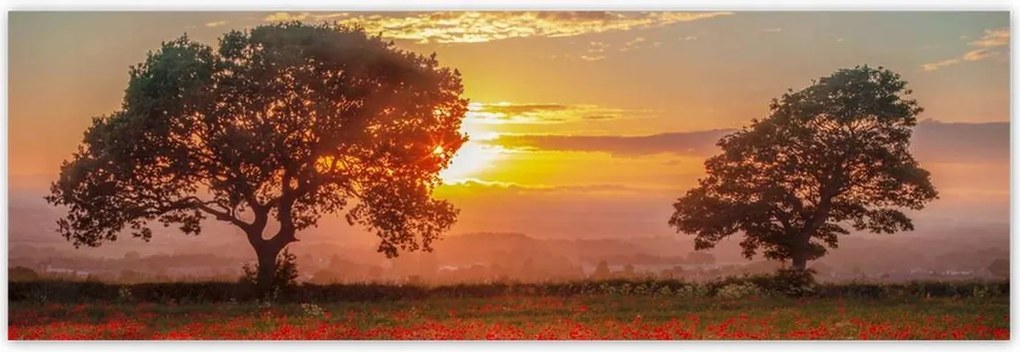 Poszterek 200x66 Pipacsok a mezőn Tájkép