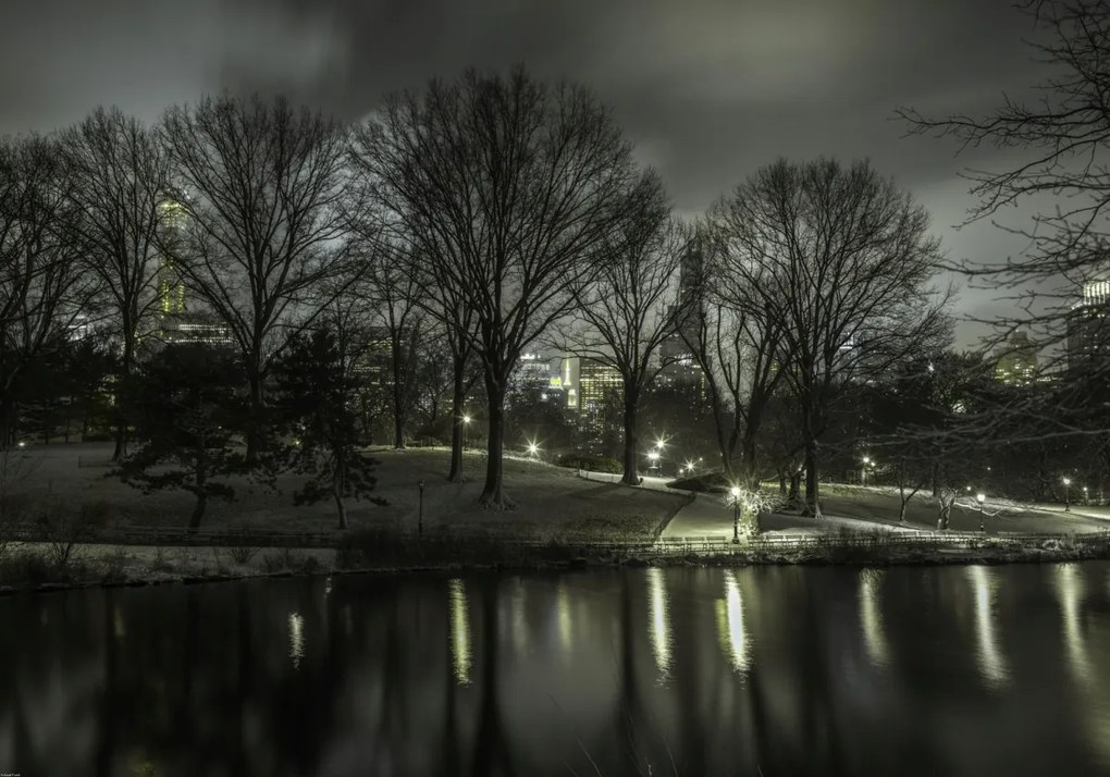 Poszter 100x70cm Central Park éjszaka 2, Assaf Frank