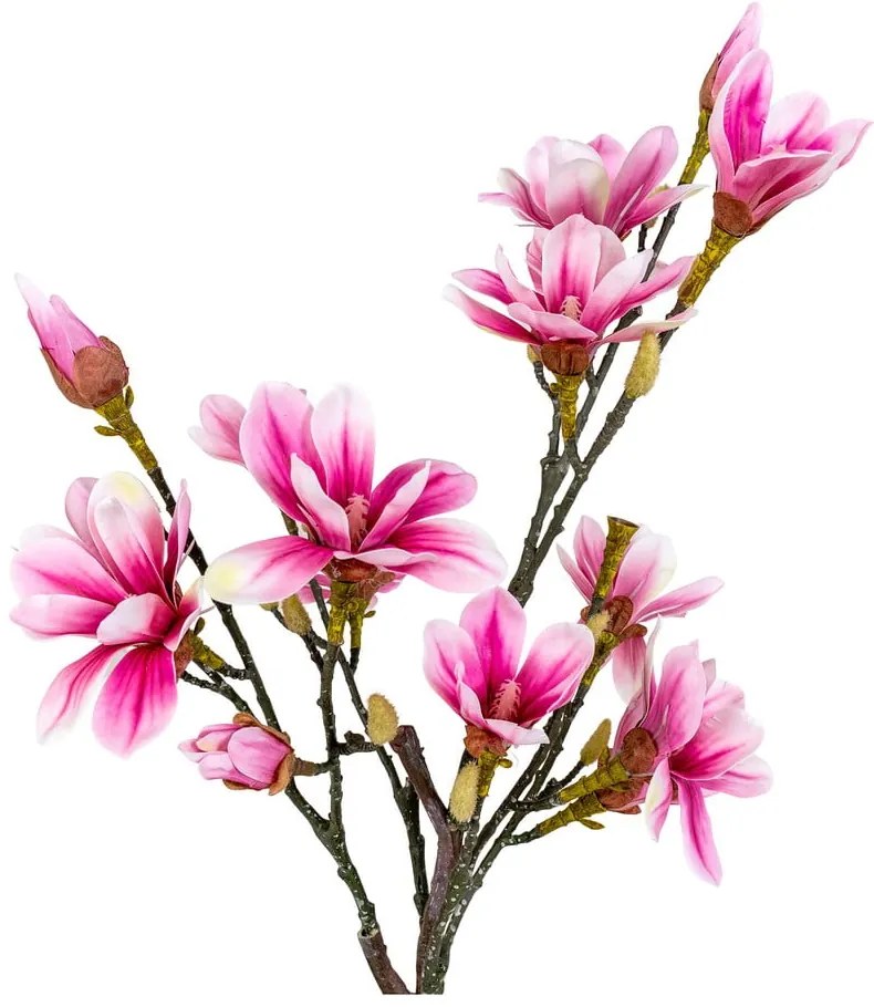 Művirág Magnolia – House Nordic