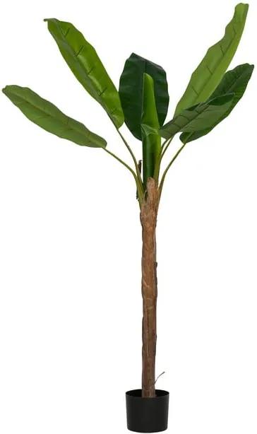 Mű banánfa, magasság 180 cm - WOOOD