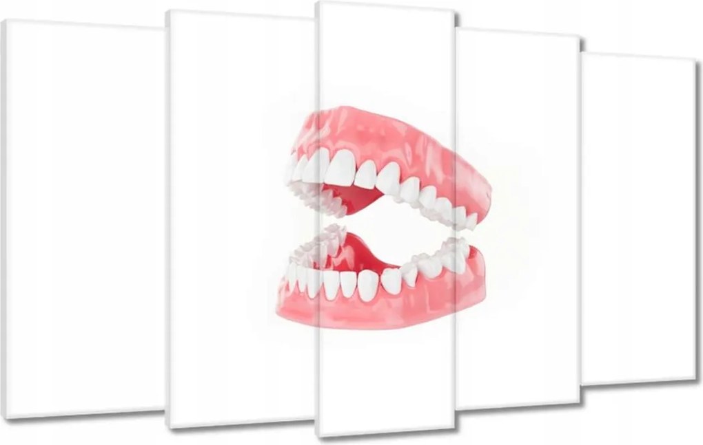 Képek 100x60 Állkapocs a dolgozószobába Fogak