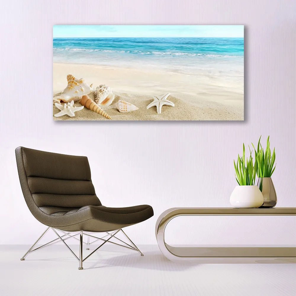 Vászonkép falra tengeri csillag kagyló 140x70 cm