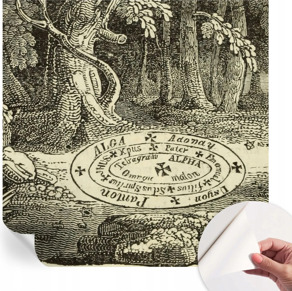 Öntapadós fotótapéta Nappali és Hálószoba Irodába Varázslatos kör 250x250