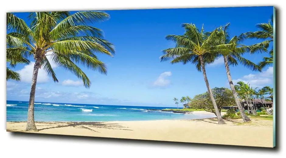 Fali üvegkép Trópusi tengerpart cz-obglass-125x50-53431750