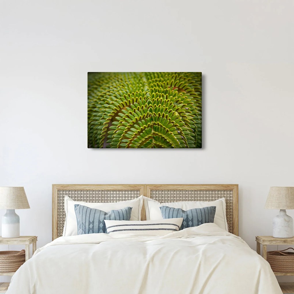 Kép - Fern (90x60 cm)