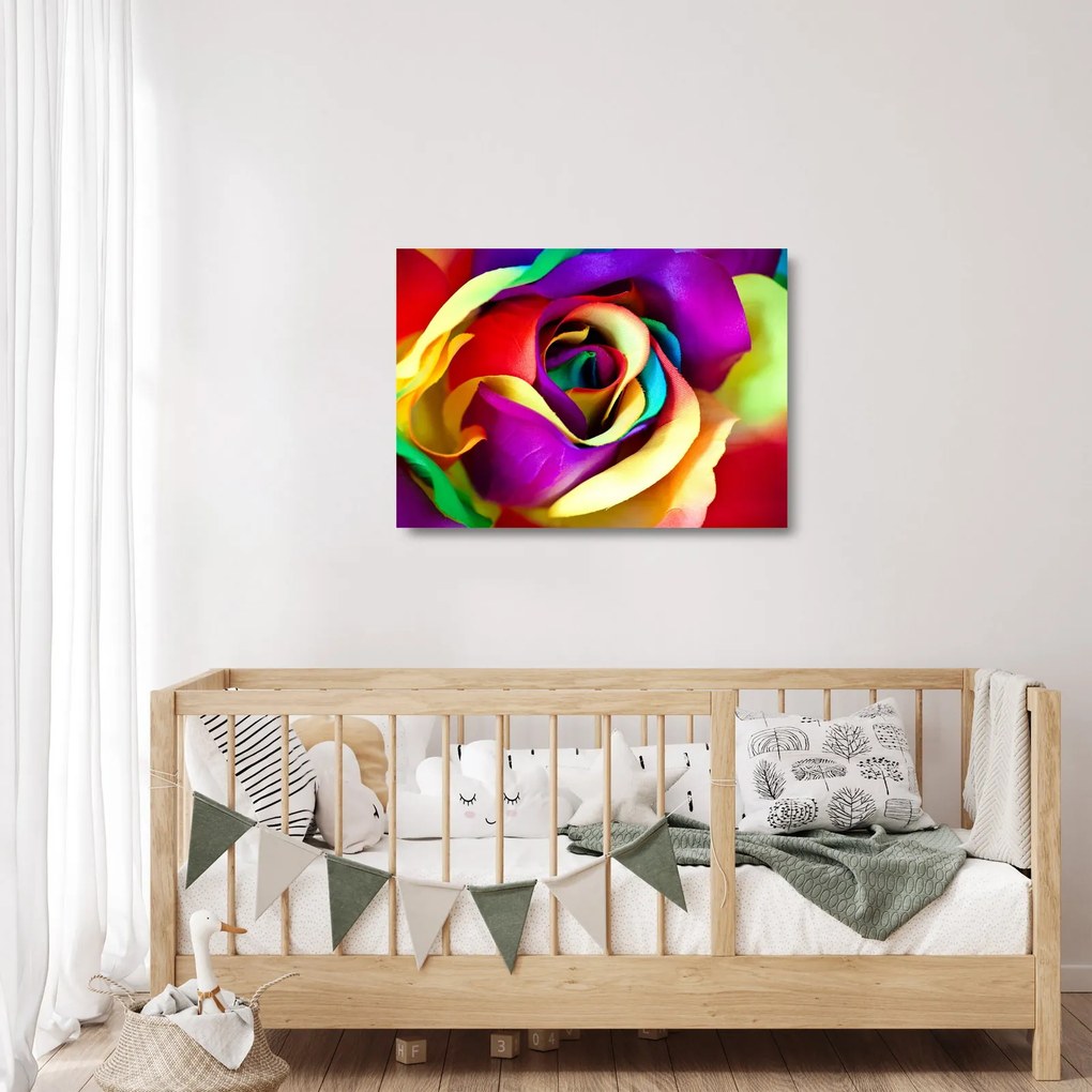 Üveg kép - Színes rózsa (70x50 cm)