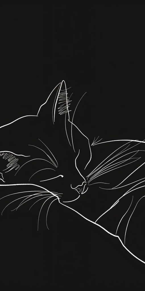 Poszter 50x100cm Éjszakai nyugalom