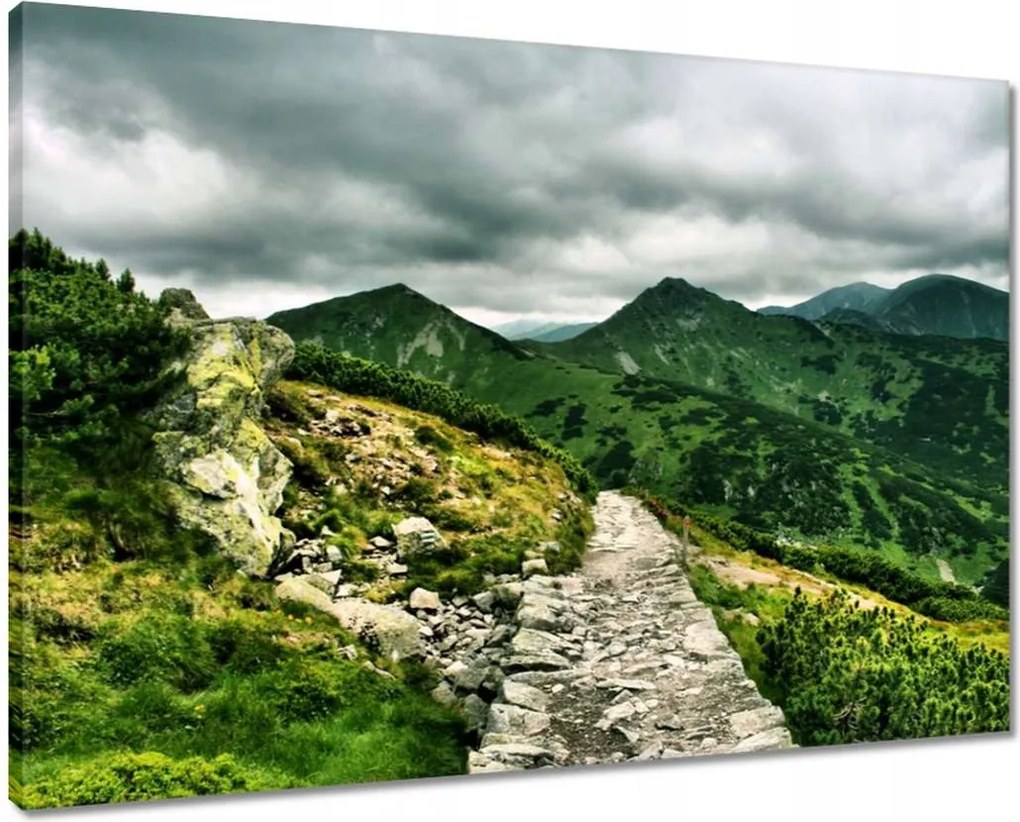 Vászonkép 70x50 Utak a Tátrában