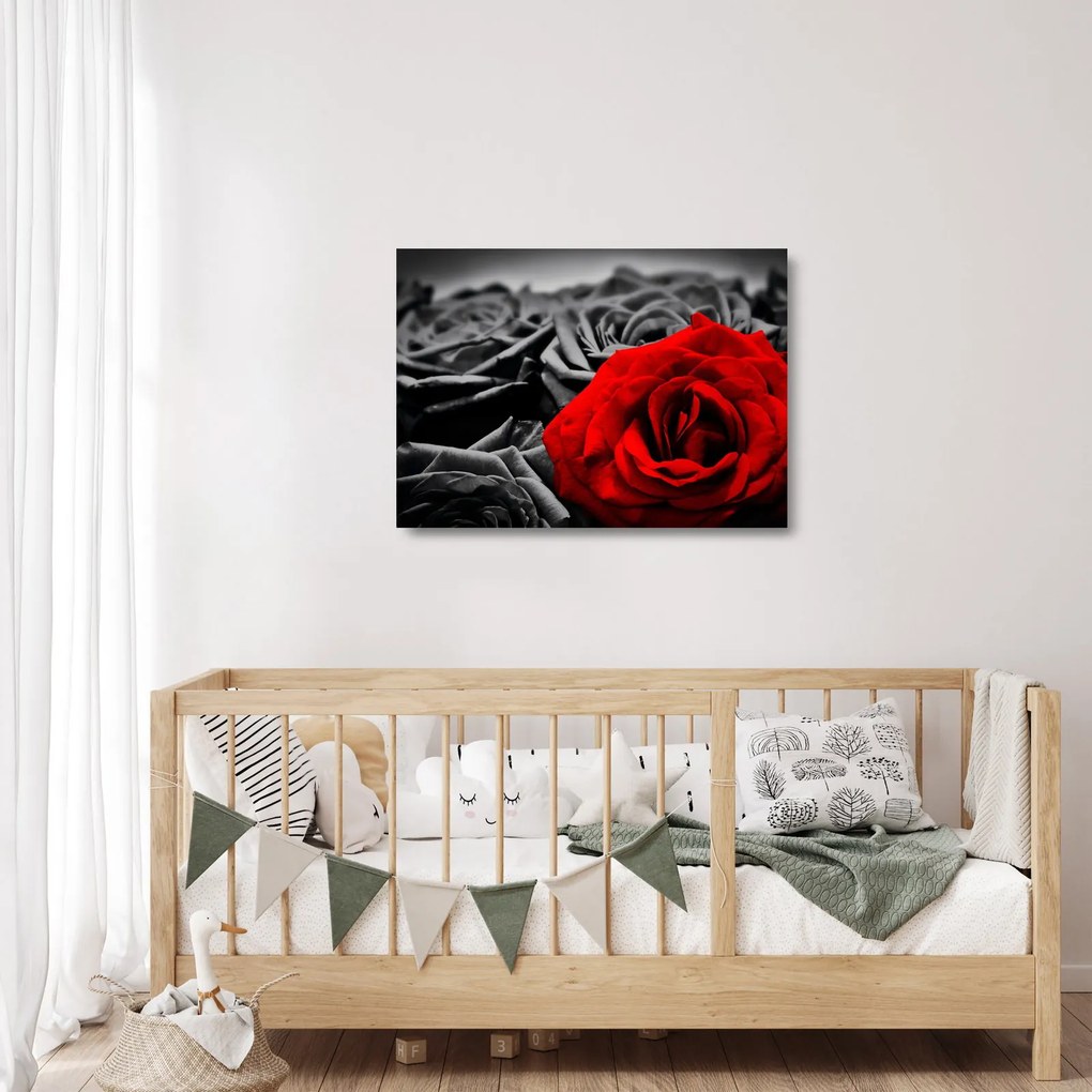 Kép - Rózsa virágok (üvegen) (70x50 cm)