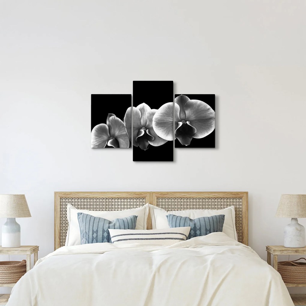 Egy orchidea virág képe (90x60 cm)