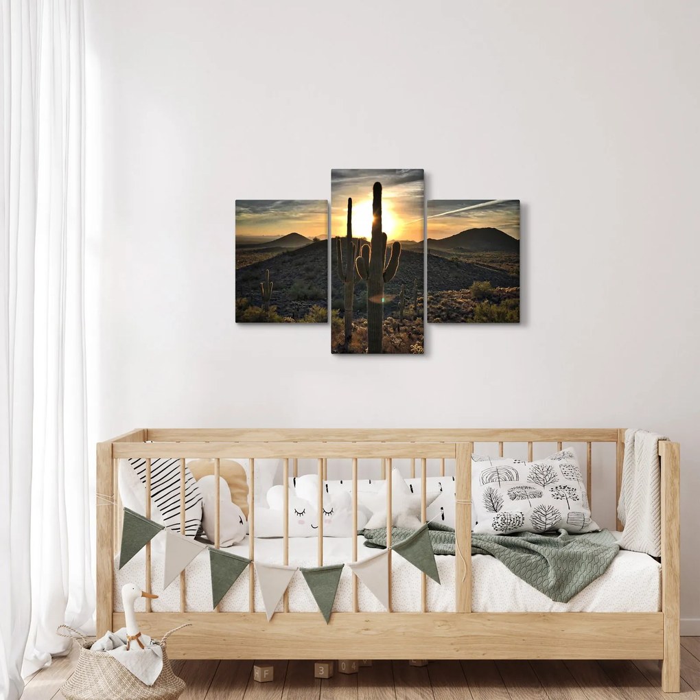Kép - kaktuszok a napon (90x60 cm)