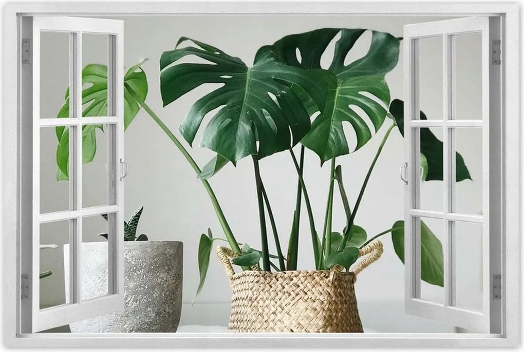 Poszter 60x40 Mosnter levelek lyukas