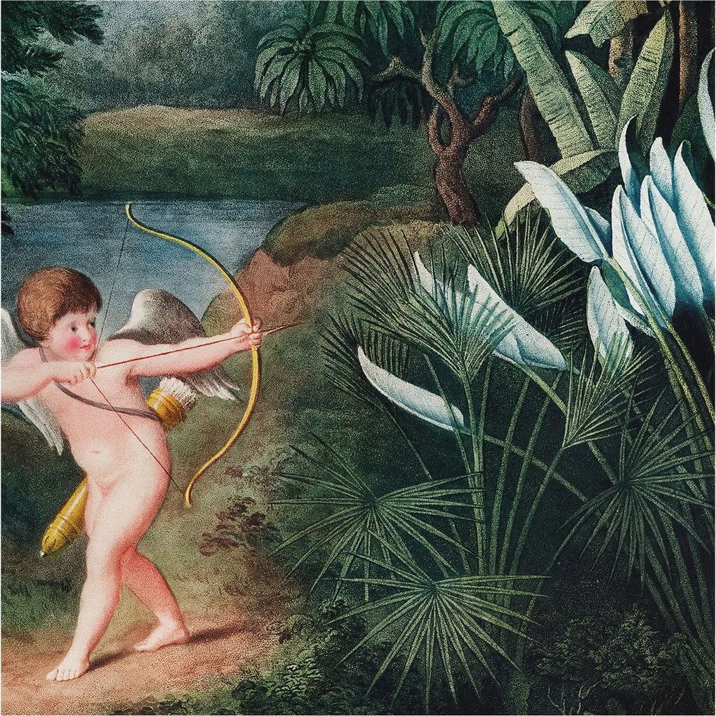 Fotótapéta Flizelin Hálószoba és Nappali Tapéta Bájos Ámor 250x250