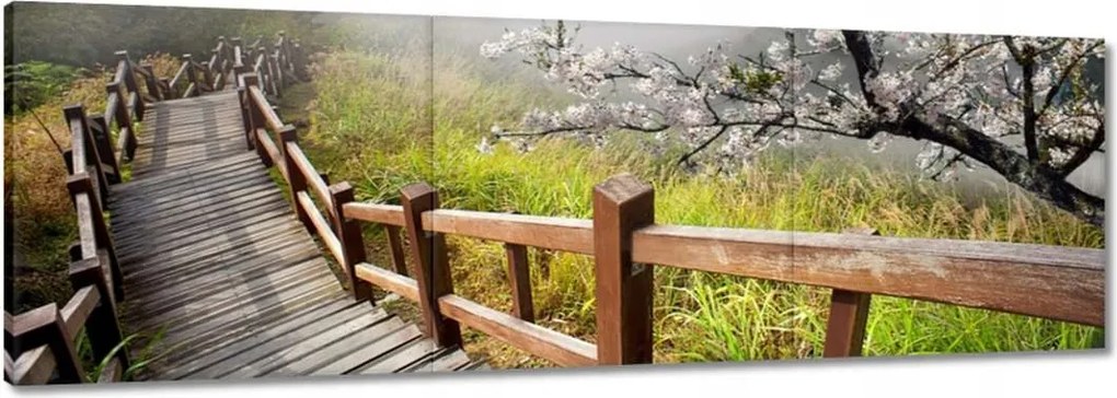 Vászonkép 150x50 Japán Virágzó cseresznye