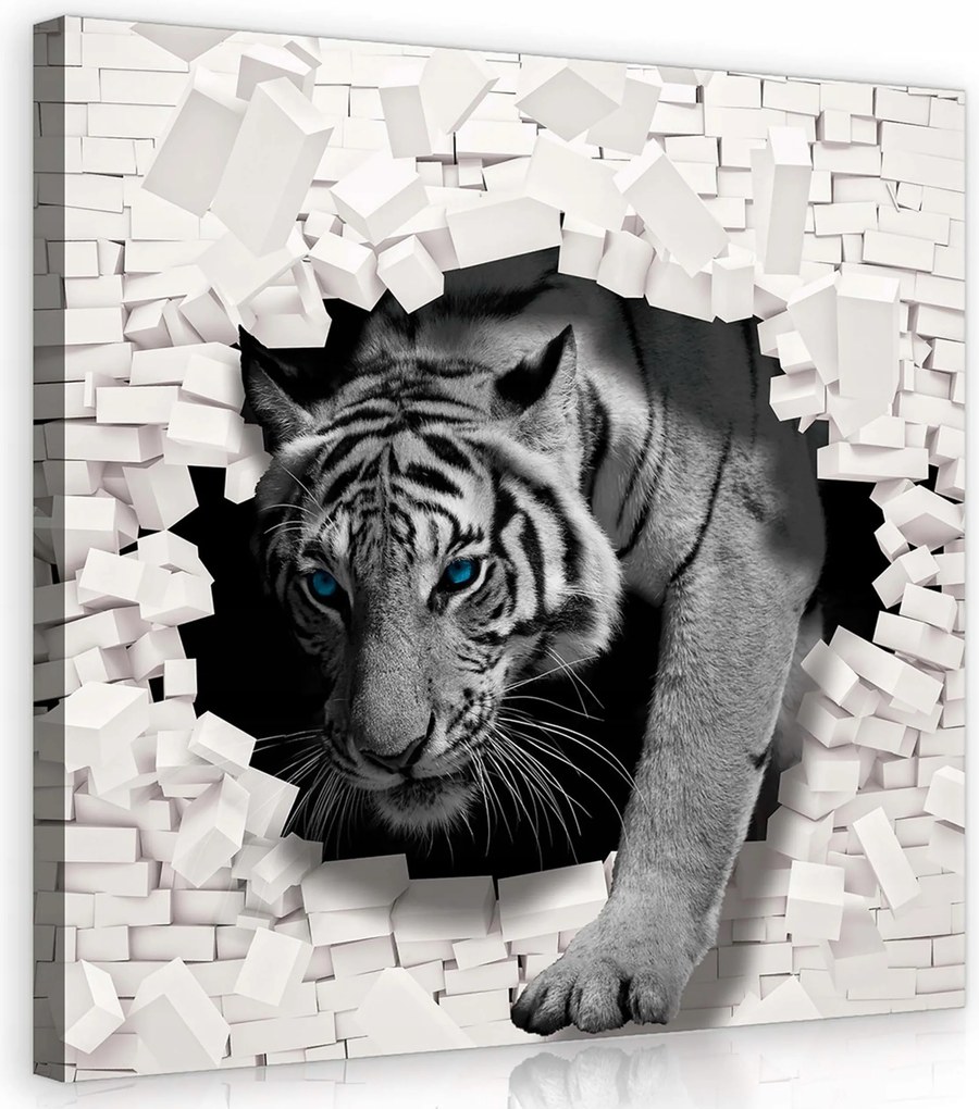 Vászonkép 80x80 Átszúró erő Tigris tégla modern loft