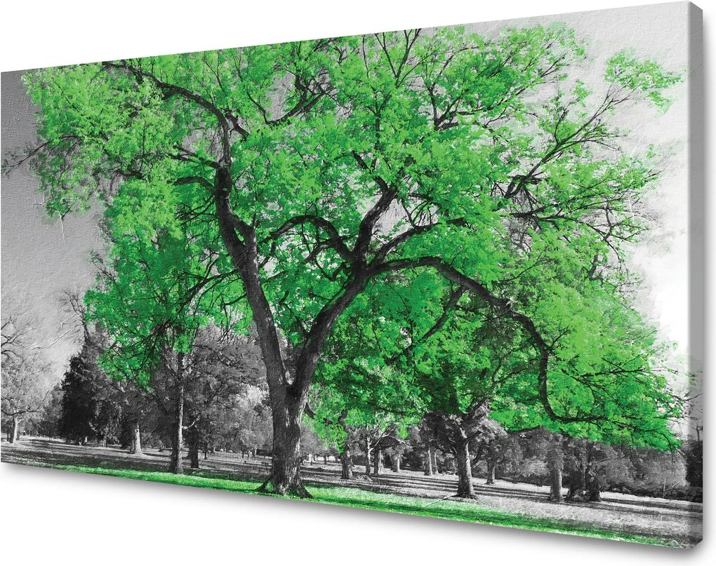 Vászonkép Fekete fák Zöld levelek Művészet 70x50 cm