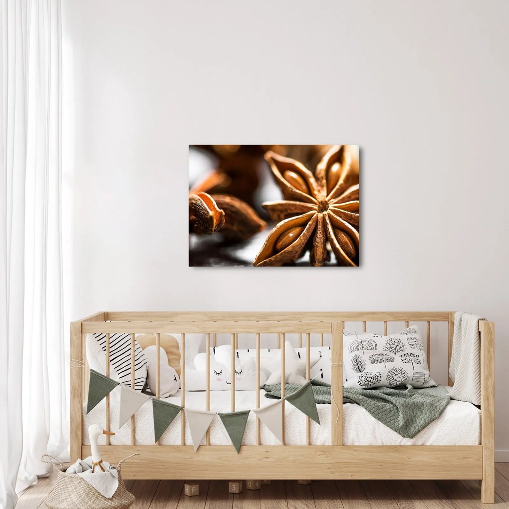 Kép - Anise (70x50 cm)