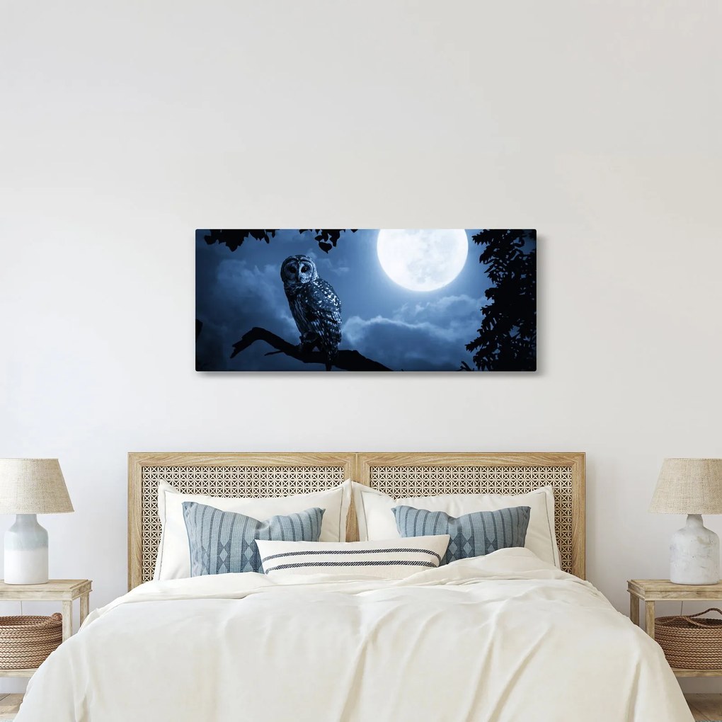 Kép - Éjszakai bagoly (120x50 cm)