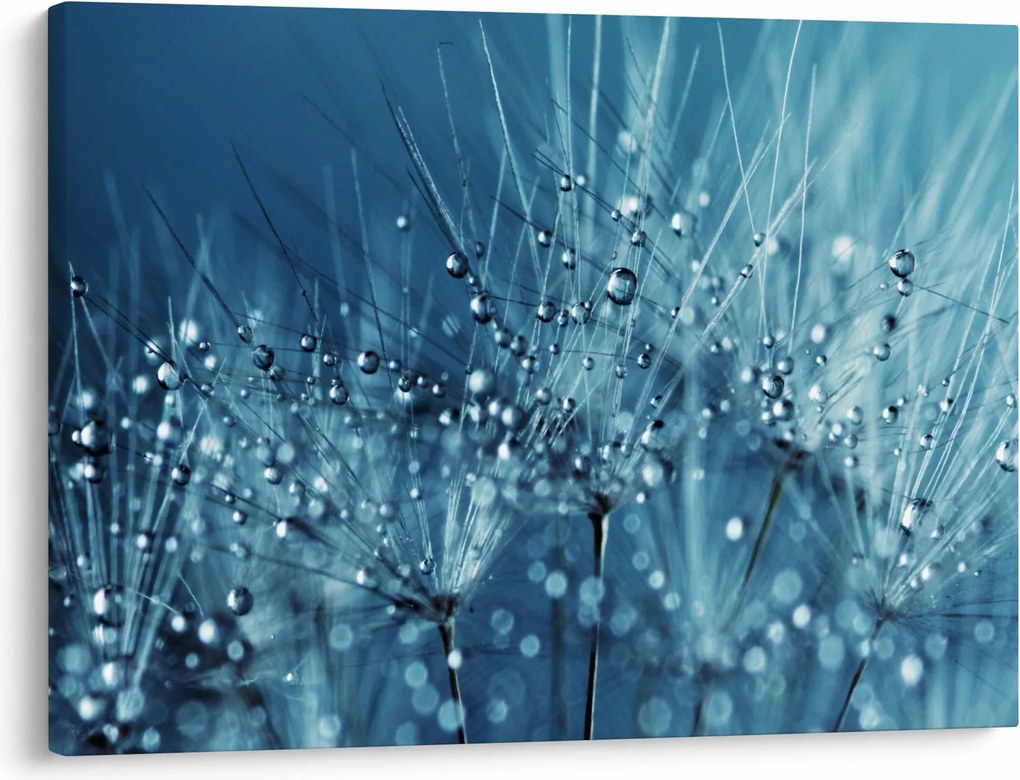 Kép - Harmatcseppek (70x50 cm)