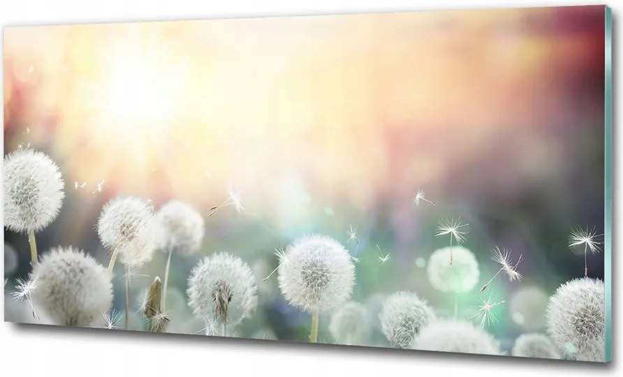 Fotótapéta üvegfalra Tavaszi virágok 125x50