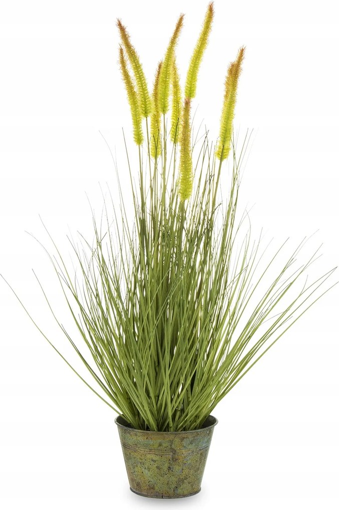 Nagy zöld fű dekoratív növény egy cserépben