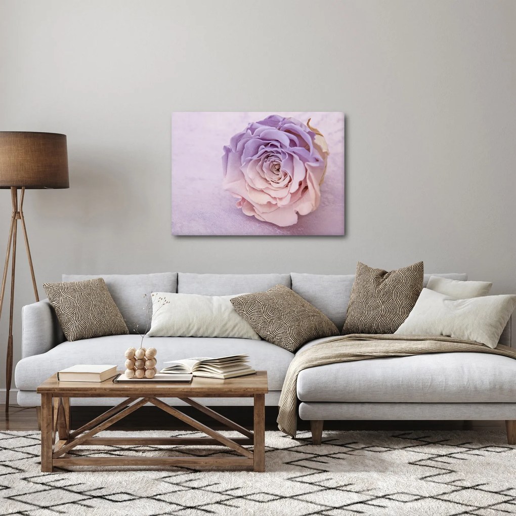 Vászonkép - Egy rózsa virág részlete (70x50 cm)