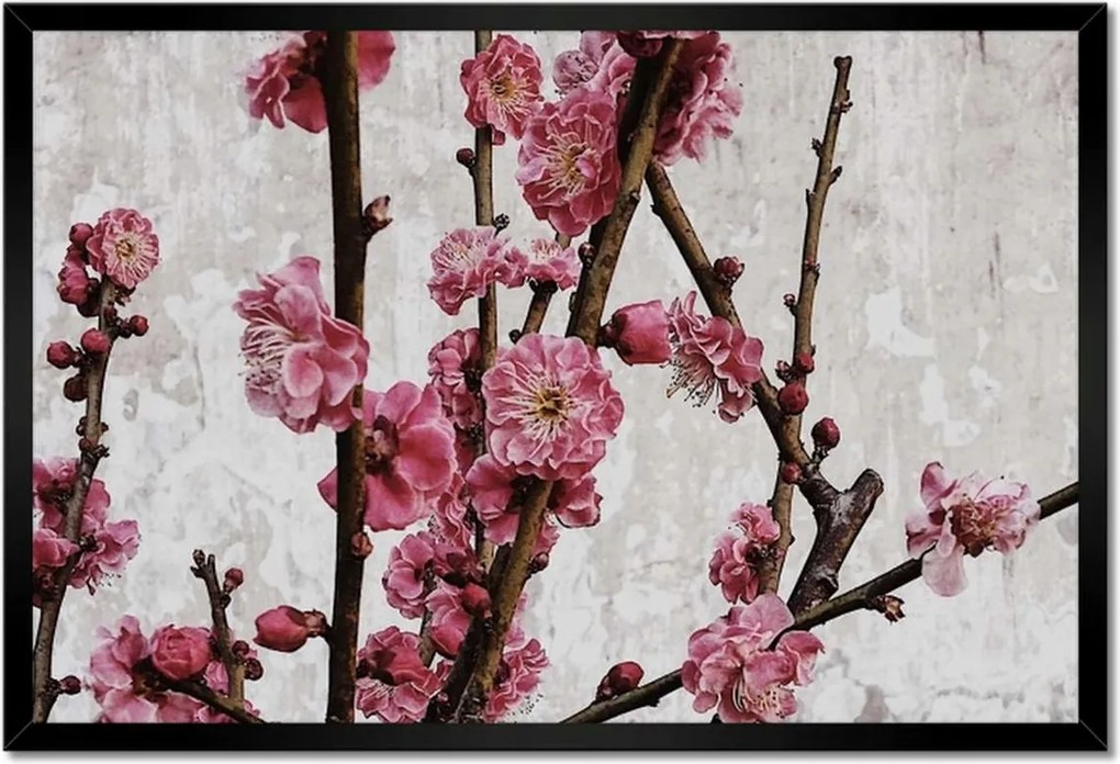 Poszterek keretben 60x40 Virágok