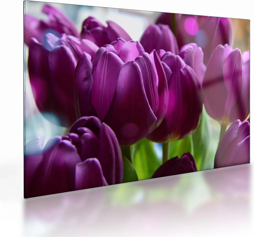 Tulipán képe (üvegen) (70x50 cm)