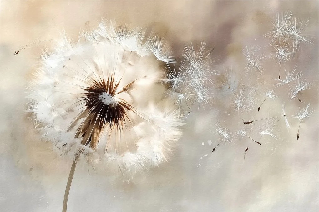 Fotótapéta Flizelina Akvarell Bézs Boho Virág Pitypang Pehely 254x184 ragasztó