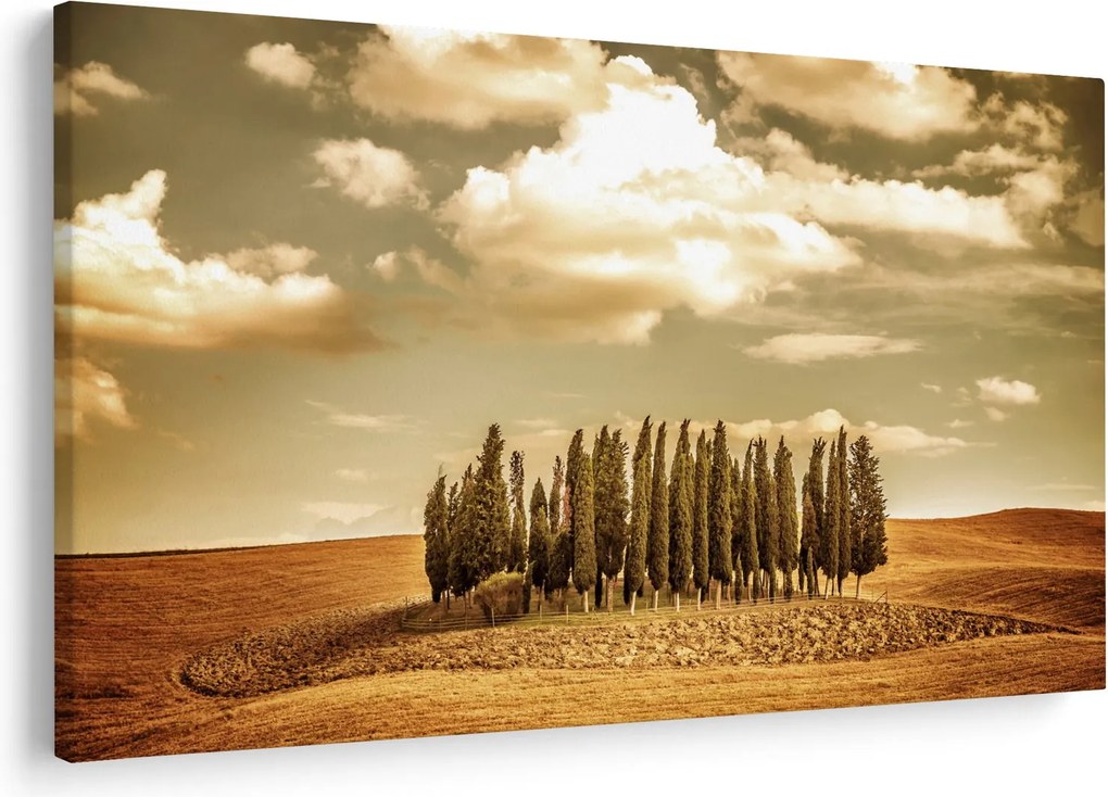 A Tisztás képe (90x60 cm)