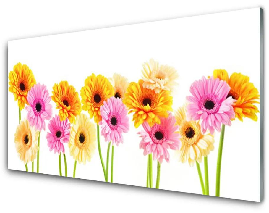 Üvegkép falra Színes százszorszép virágok 140x70 cm
