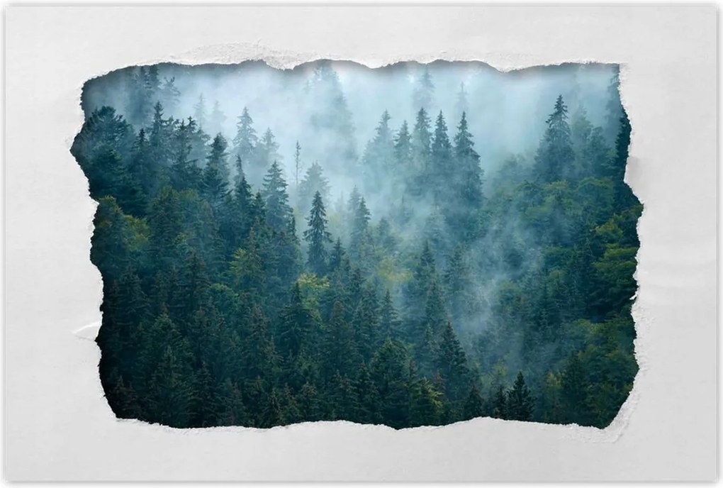 Poszterek 90x60 Erdő a ködben Utazás